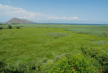 Obraz premium Valley of Skadar lake, Montenegro
