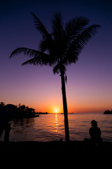 Sonnenuntergang Palme