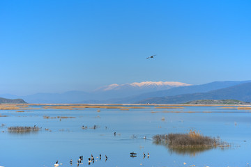  Mount Olympus  Greece  , we see it from Lake Karla, a wonderful ecological site from the mountain of the gods