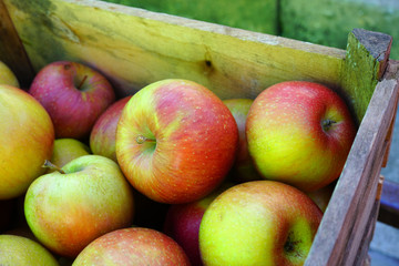 Fresh red and yellow apples at a farmers market
