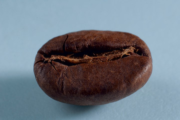 coffee grain on a blue background
