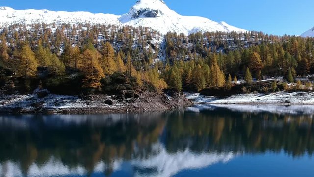Drone over a beautiful lake with snow-copped mountains and pines - Alpe Devero Italy