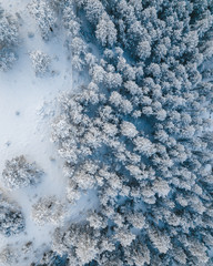 Frankieboy Photography