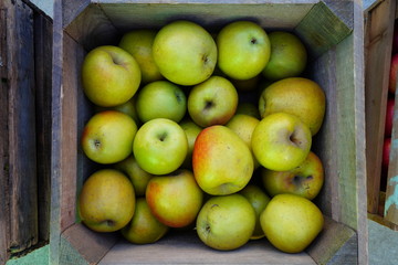 Fresh red and yellow apples at a farmers market