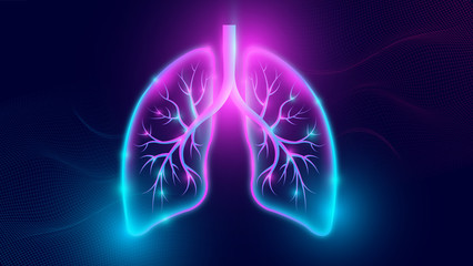 Human Respiratory System Lungs Anatomy