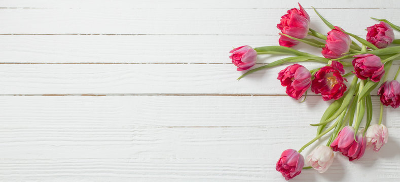 red tulips on white wooden background