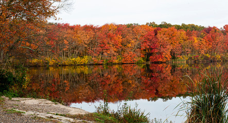 Horizontal view of colorful autumn leaves across a lake reflecting in the water