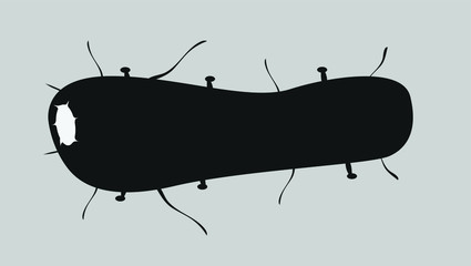 simple virus icons, vector illustration