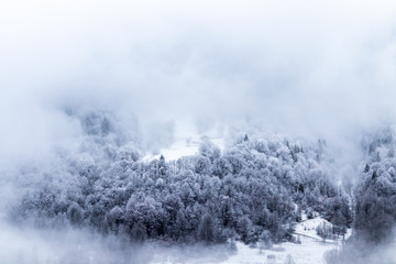 Fototapeta na wymiar View of the forest and the mountains in the mist in winter - Morzine Valley, France