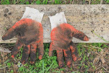 Garden protective gloves soiled in the ground are dried on a board