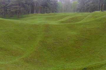  meadow with many craters from the bombs in the last world war