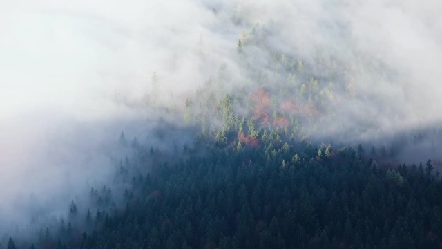 Autumn Alps mountain misty morning view from Jenner Viewing Platform, Schonau am Konigssee, Bavaria, Germany.  Picturesque traveling, seasonal and nature beauty background scene.