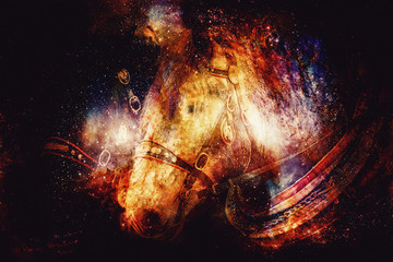 Two horses with ornate harness in close-up view, on abstract structured space background.