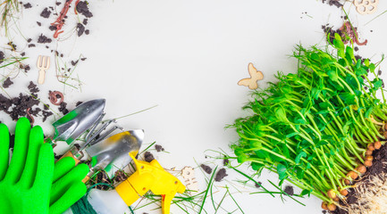 gardening tools, microgreen with soil