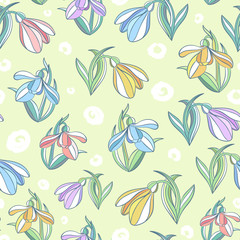 Seamless pattern with multi-colored crocuses