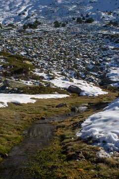 riachuelo de alta monta&ntilde;a producido por el deshielo