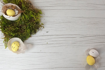 Yellow and white easter egg nest inside goose egg