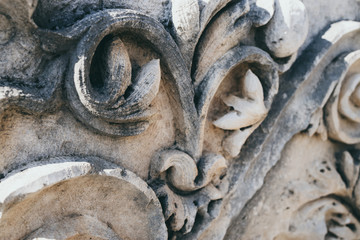 Fototapeta na wymiar Closeup detail of leaf from column in Myra Turkey