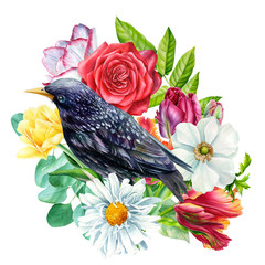 Birds and flowers. Isolated white background. Hand drawn, watercolor.