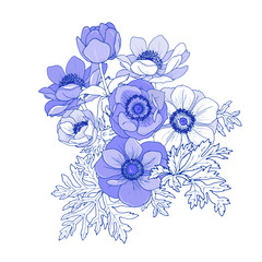Composition with flowers and leaves of anemones, vector illustration