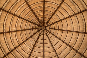 Palapa