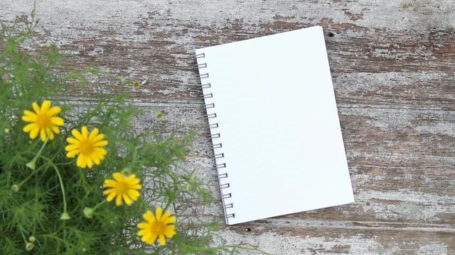 Book with empty page, copy space for gardening idea and design concept.