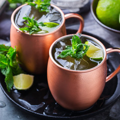 Classic Moscow mule cocktail with lime, mint and ice