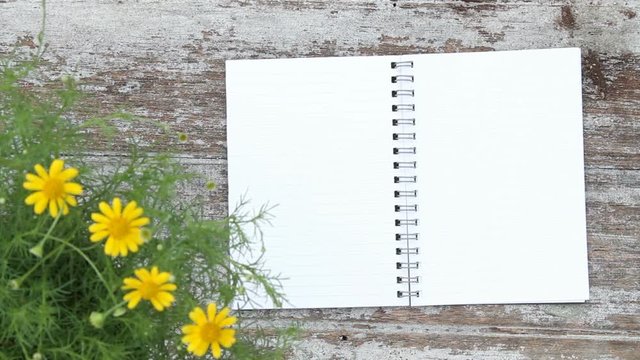 Empty paper put on wooden background with small flower, Gardening idea concept.