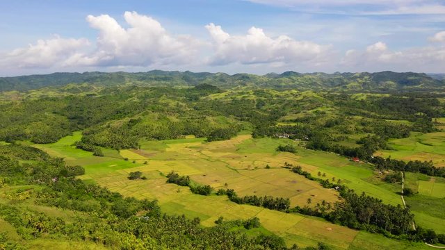 Paddy fields in the Philippines. Mountain landscape with green hills and farmland. Summer and travel vacation concept.