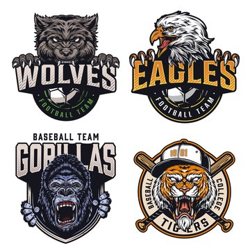 Colorful sports clubs vintage emblems