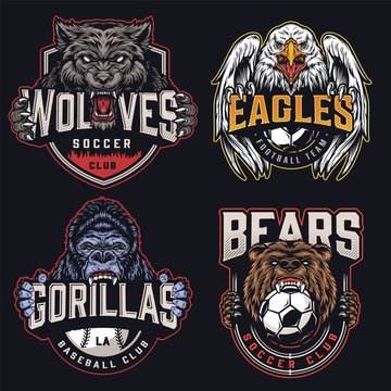 Colorful sports clubs emblems
