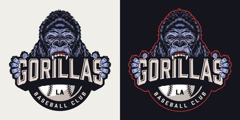 Vintage baseball club colorful logo © DGIM studio
