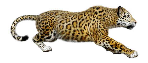 3D Rendering Big Cat Jaguar on White © photosvac