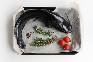Fresh fish, herbs and vegetables. Food background, ingredients on the table. Healthy food, styling,...