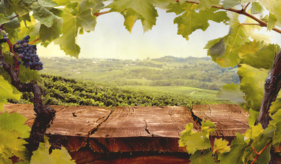 Vineyard in autumn - 331020444