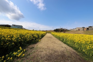 あわじ花さじき