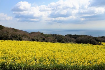 あわじ花さじき