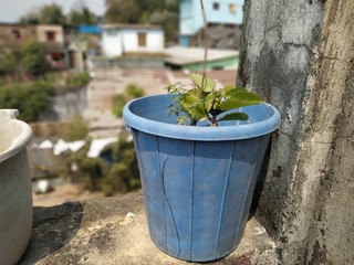 watering can in the garden