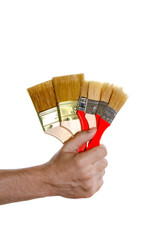 Artist hand with brush for painting. Hand holding a thick brushes isolated on a light background. A new miscellaneous paint brushes with hand in closeup