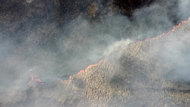 Dry grass burning in the field. Aerial view of smoking wild fire. Large smoke clouds and fire spread. Forest and tropical jungle deforestation. Grassland deforestation and climate change