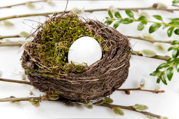 Easter egg in bird nest on spring white green foliage moss leaves, bears catkins © Maciek