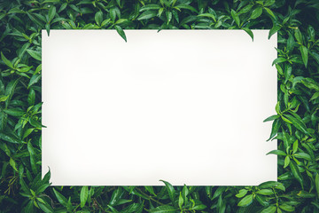 White paper card mockup on green leaves. Blank art board copy space for your text on nature leaf. 
