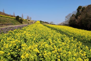 あわじ花さじき