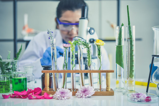 Scientist with natural drug research, Natural organic botany and scientific glassware