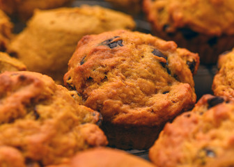 Pumpkin muffins with chocolate chips and raisins closeup