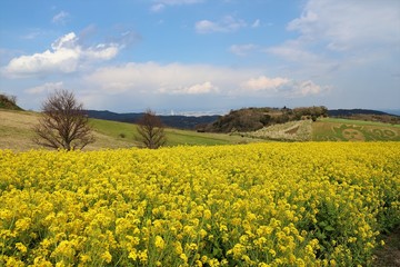 あわじ花さじき