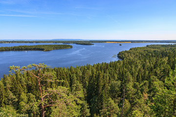 Coniferous forest with a view of a beautiful lake