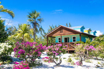 Nassau Bahamas Kokosnuss