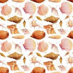 Seamless pattern seashells, isolated on white background. Watercolor hand drawn illustrations