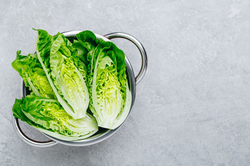 Fresh Green Romaine Lettuce for Caesar Salad on gray stone background.